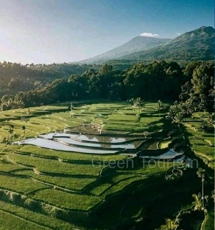 rinjani trekking, mount rinjani trekking, mount rinjani hike, mount rinjani tour rinjani tour, rinjani hike, mt rinjani hike, mount rinjani trek, rinjani trek, mount rinjani trekking tour