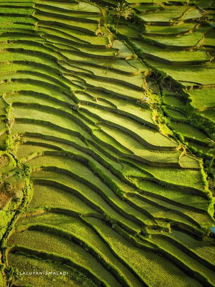 rinjani trekking, mount rinjani trekking, mount rinjani hike, mount rinjani tour rinjani tour, rinjani hike, mt rinjani hike, mount rinjani trek, rinjani trek, mount rinjani trekking tour