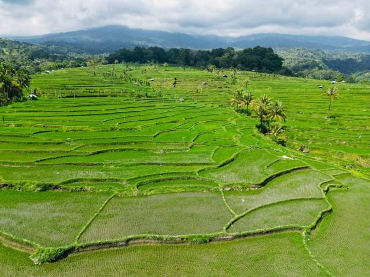 rinjani trekking, mount rinjani trekking, mount rinjani hike, mount rinjani tour rinjani tour, rinjani hike, mt rinjani hike, mount rinjani trek, rinjani trek, mount rinjani trekking tour