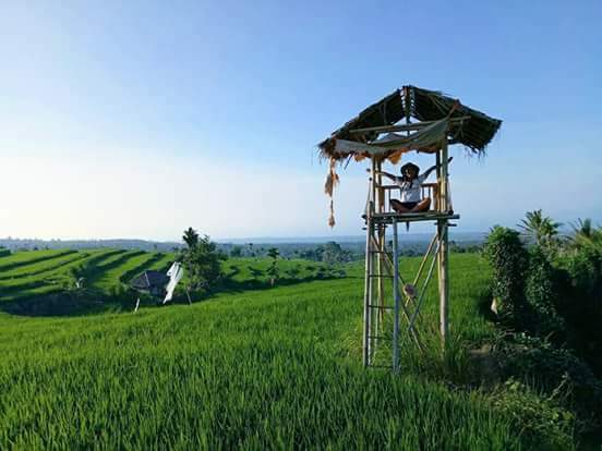 rinjanifasatrekking.com, rinjani trekking, mount rinjani trekking, mount rinjani hike, mount rinjani tour rinjani tour, rinjani hike, mt rinjani hike, mount rinjani trek, rinjani trek, mount rinjani trekking tour